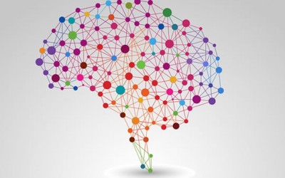 Seis consejos para entender cómo funciona el cerebro