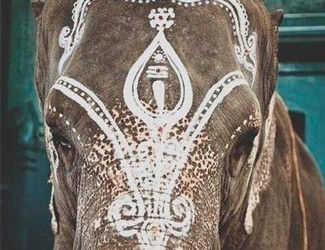 Los Seis Sabios Ciegos y el Elefante: la Naturaleza de la Mente