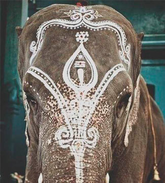 Los Seis Sabios Ciegos y el Elefante: la Naturaleza de la Mente