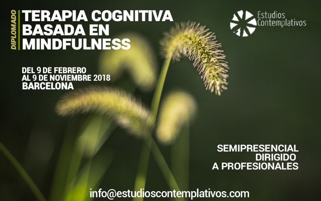 Terapia Cognitiva Basada en Mindffulness. MBCT. Barcelona, Febrero – Noviembre 2018